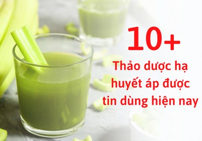 Tổng hợp 10+ thảo dược hạ huyết áp được tin dùng hiện nay